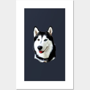 Siberian Husky Huskies are cute! Posters and Art